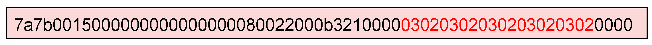 Figure 10. Test case triggering DoS in VxWorks (The text in red represents the key content that causes the DoS).