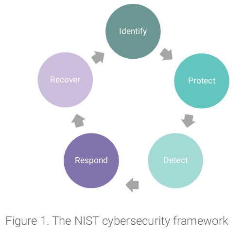 Navigating Section 524B
